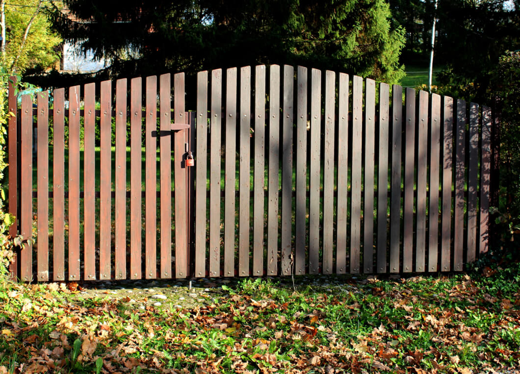 Fence with gate