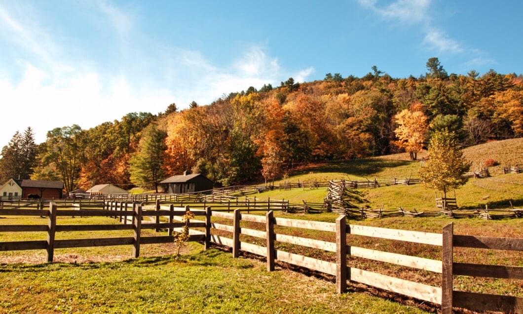 Agricultural wooden fence