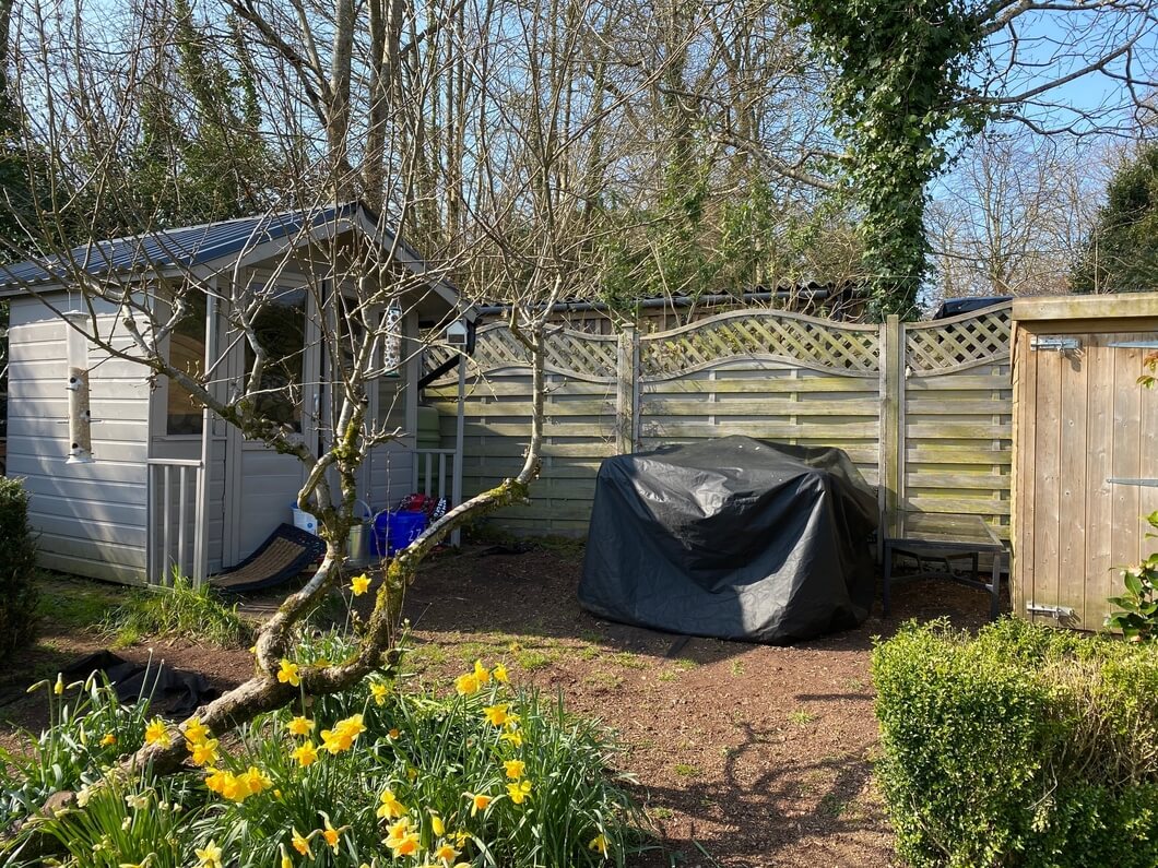 Garden with shed and flowers