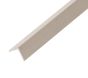 2.2m Composite Corner Trim 60mm x 50mm