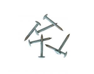 Pack of 100 38mm Stainless Steel Screw + Bit for Fibre Cement Cladding-Blue