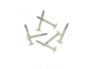 Pack of 100 38mm Stainless Steel Screw + Bit for Fibre Cement Cladding Boards