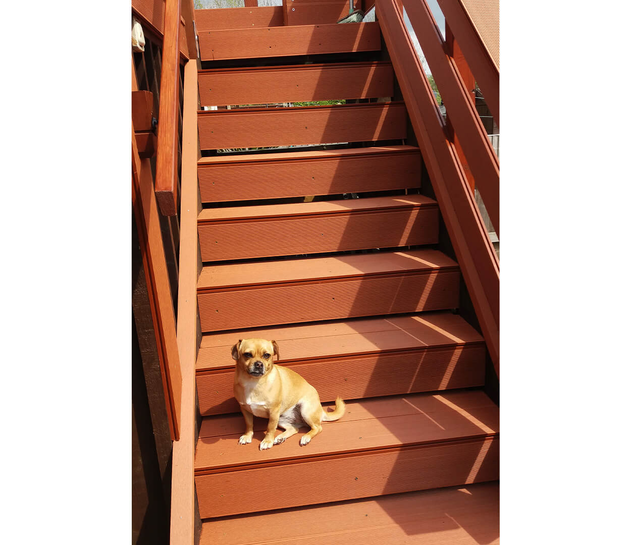 Balcony with steps in Redwood Colour