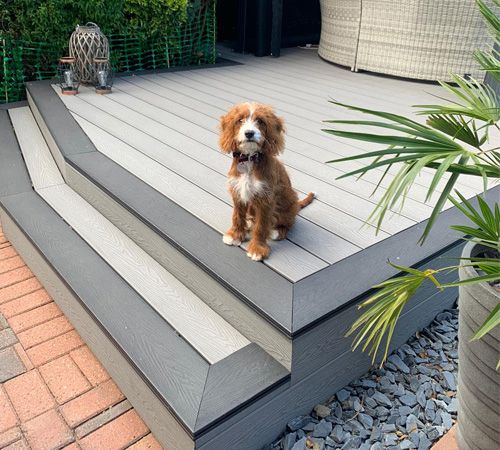 dog sits upon a picture framed effect decking