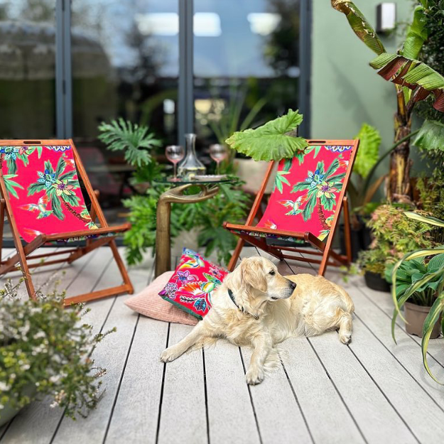 This lovely golden retriever is enjoying the sunshine on his owners pet-friendly deck