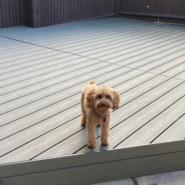 Paw-friendly: Composite Decking is resistant to scratches, splinters and warping