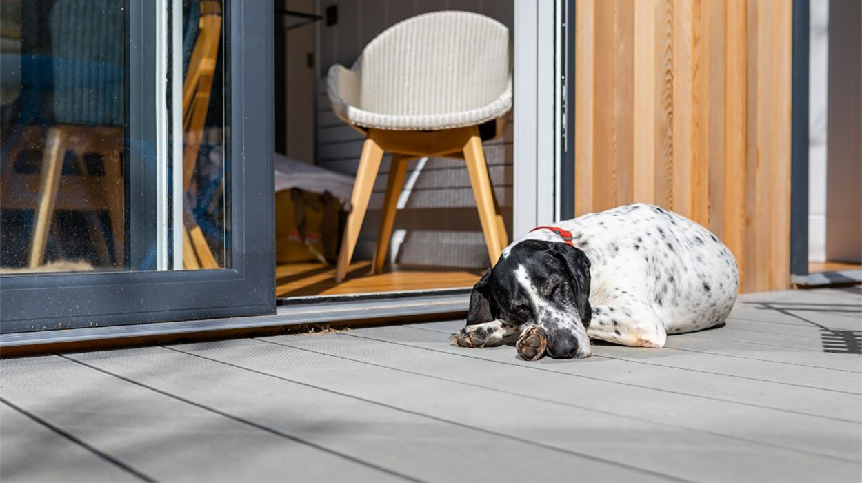 A spotted dog lying down on top of Stone Grey Composite Decking Boards in front of sliding patio doors.