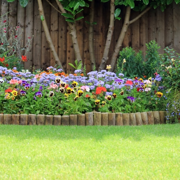 Flower bed against a garden fence with lawn grass in the foreground.