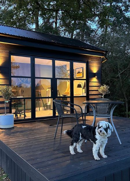 Dog on Composite Decking with garden office room.
