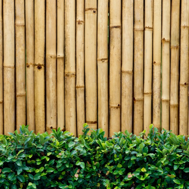 bamboo_fence_and_plants