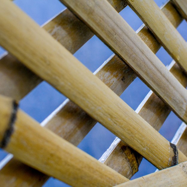 bamboo_fencing2