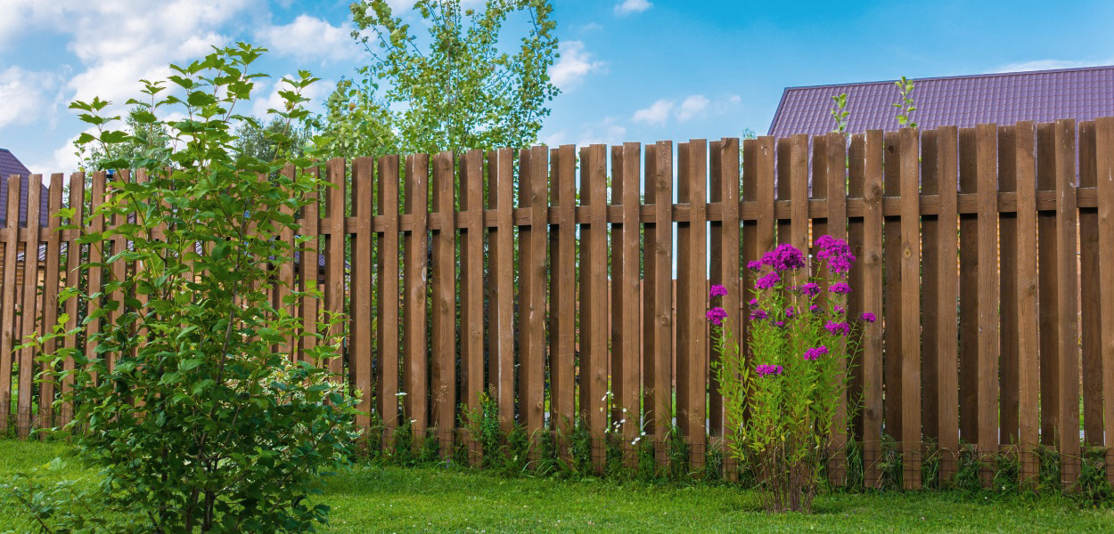 Timber slatted fencing in a garden with plants