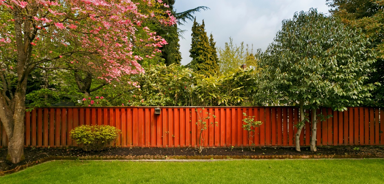 Timber fence material in a garden